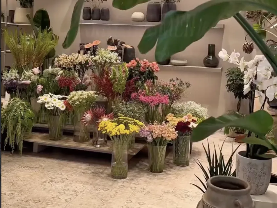 Kral Blumen in der Grafenstraße Darmstadt